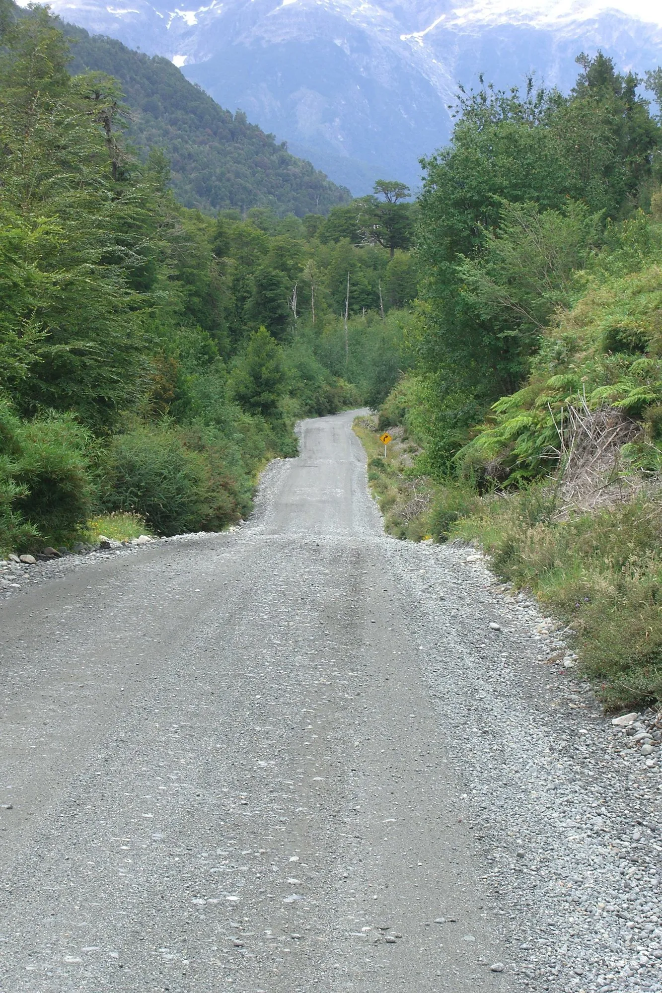 A narrow gravel road through dense green rainforest with mountains ahead
