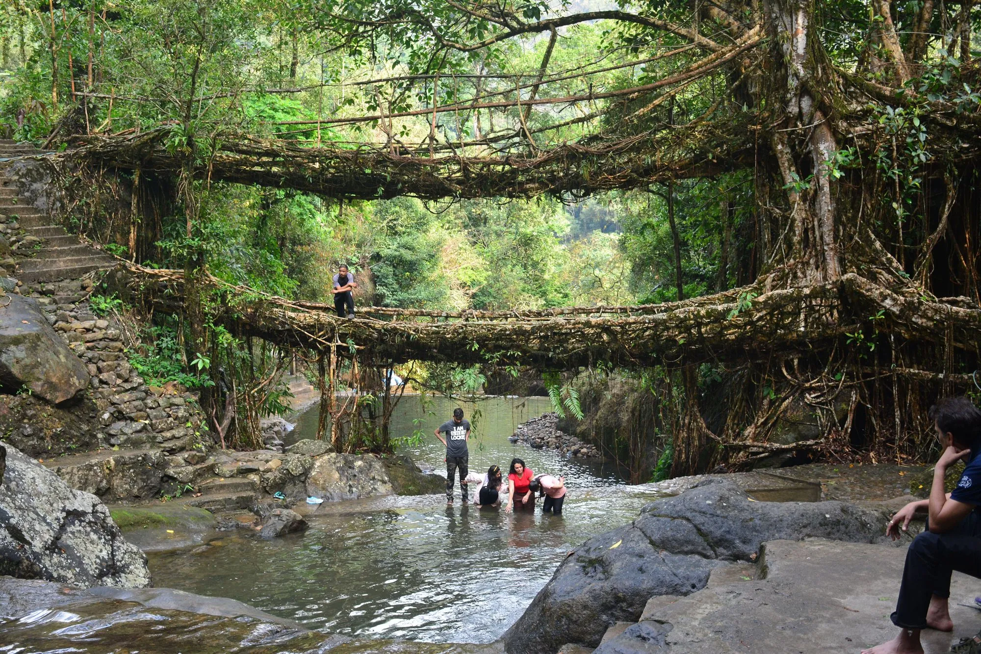 The double-decker living root bridge at Nongriat over a rocky stream