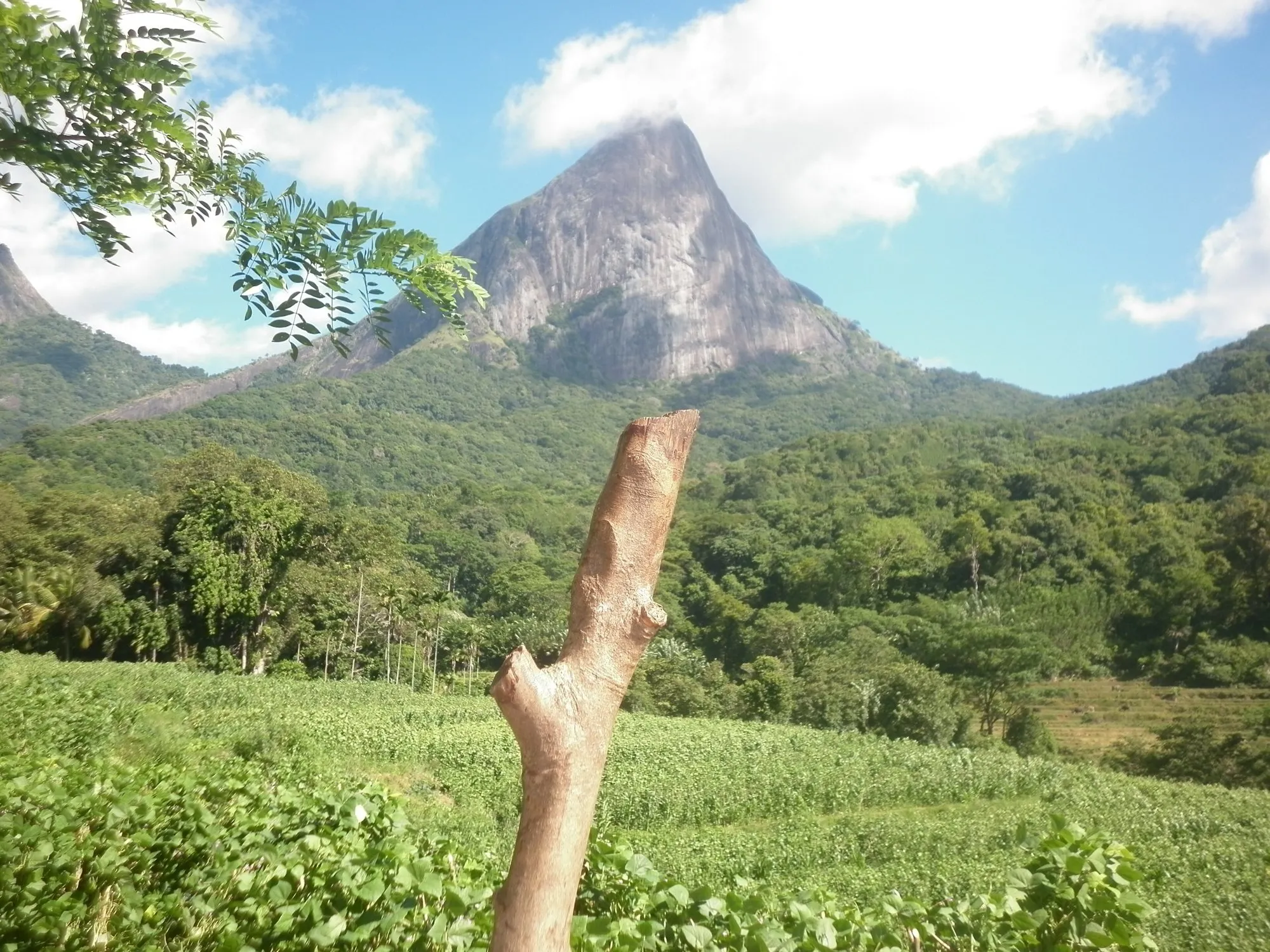 The sharp rocky peak of Lakegala above green fields and forest