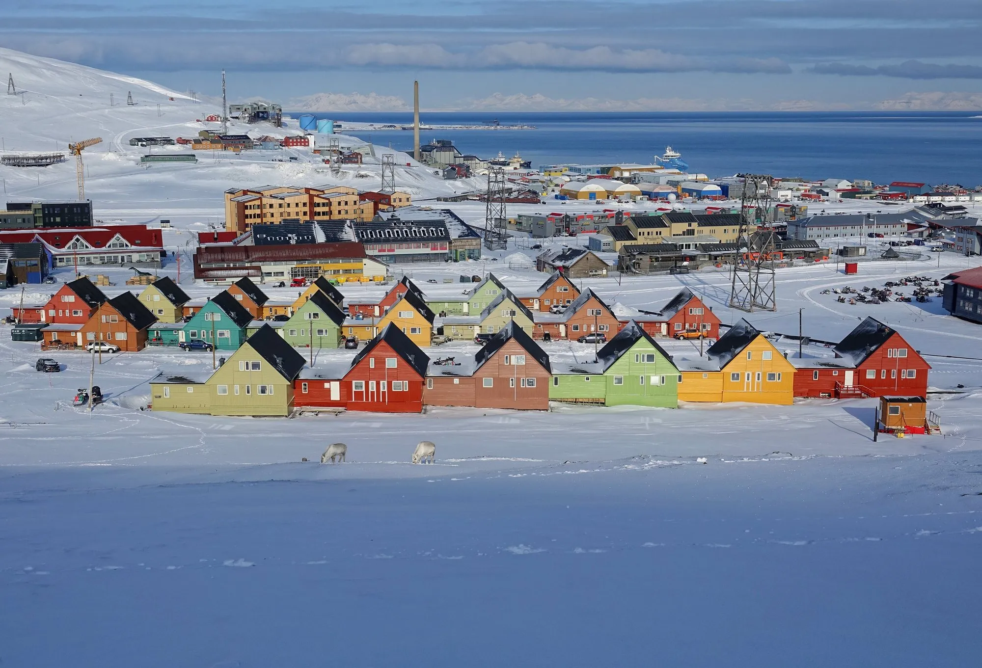 Rows of brightly painted pointed-roof houses in snowy Longyearbyen, with the fjord behind