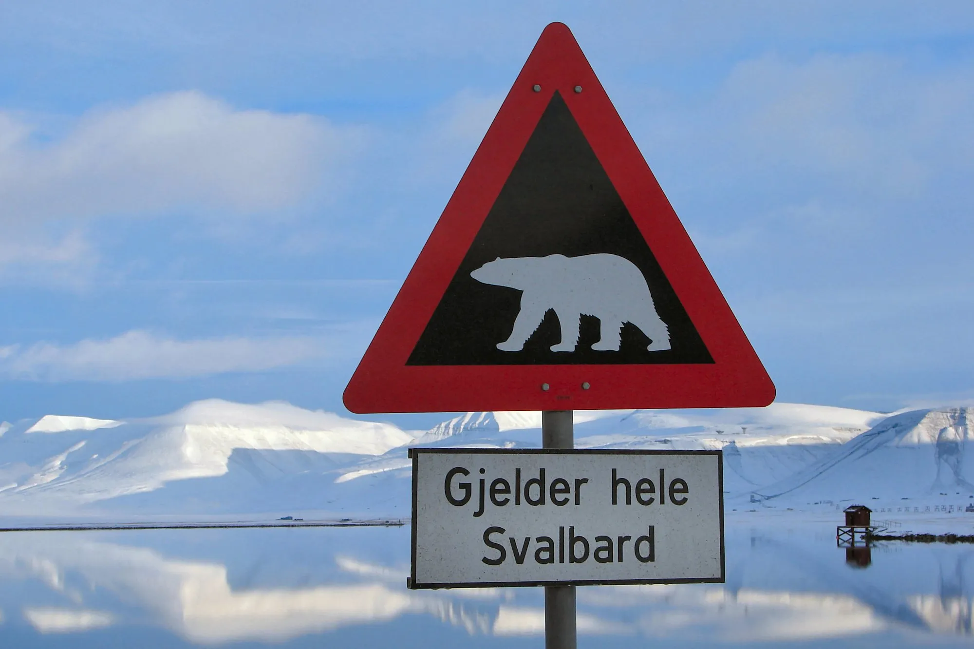 A red triangular polar bear warning sign reading 'Gjelder hele Svalbard' outside Longyearbyen