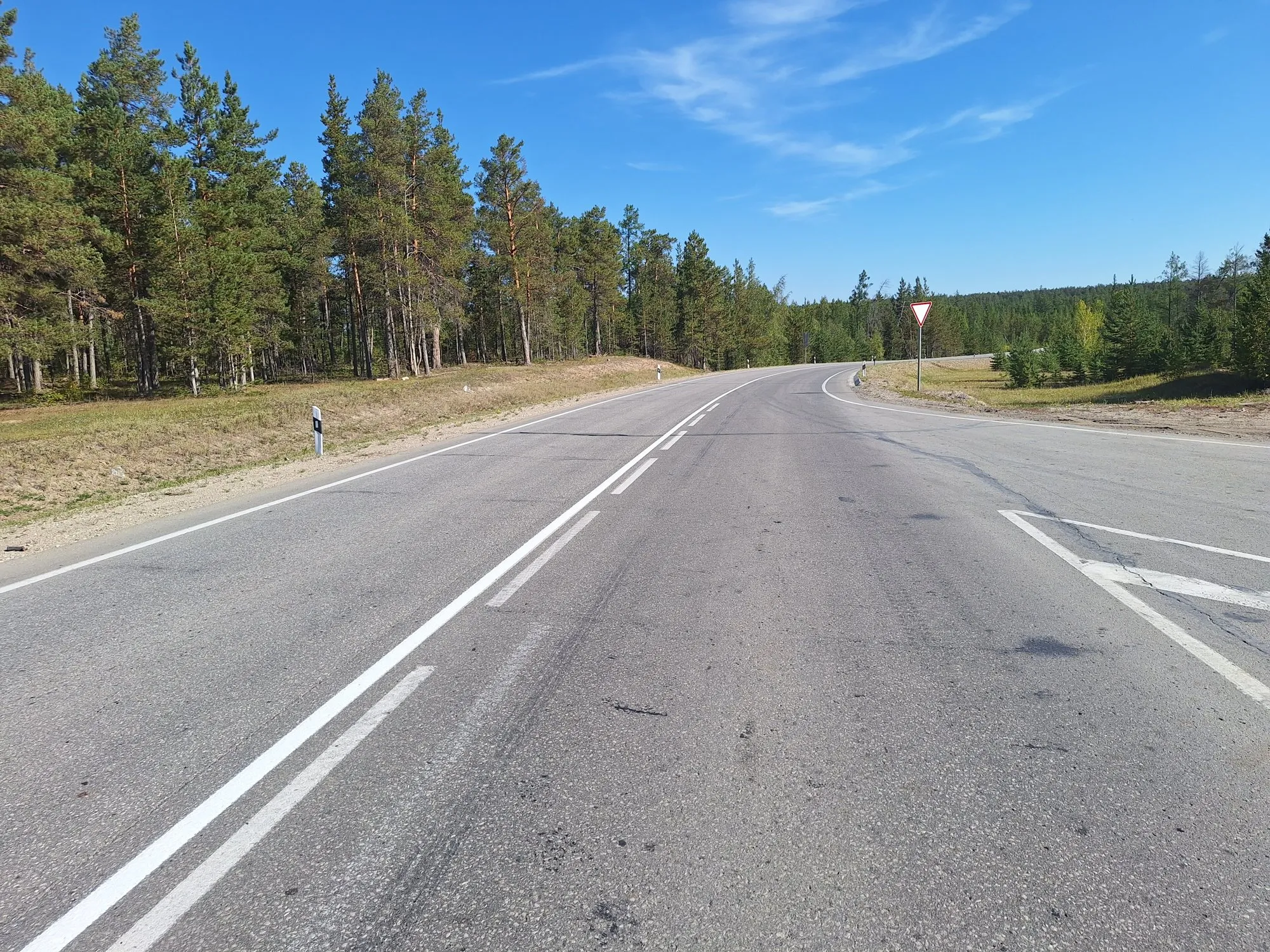 A paved two-lane section of the R504 through pine forest under blue sky