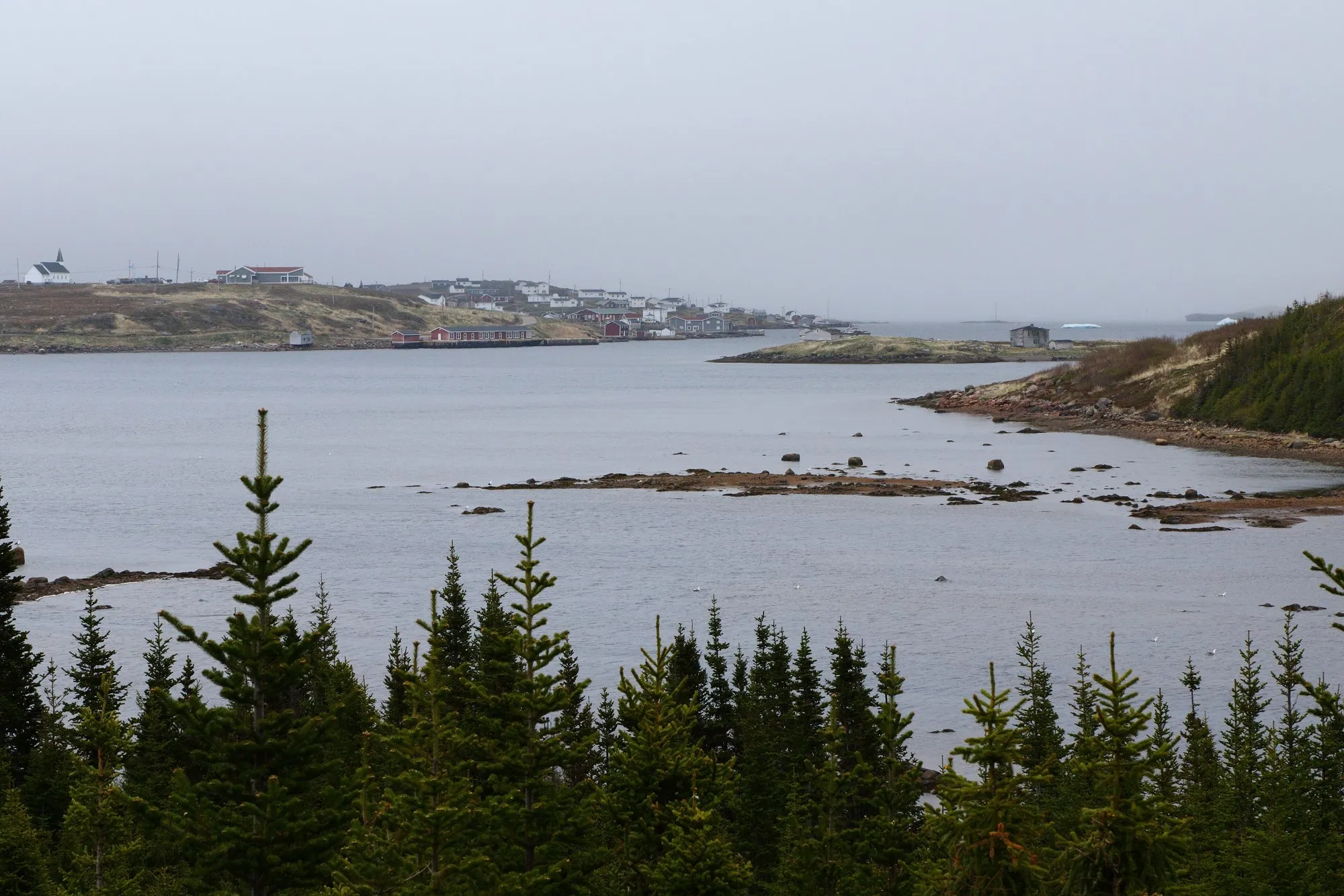 The harbour and houses of Red Bay seen across water and spruce trees