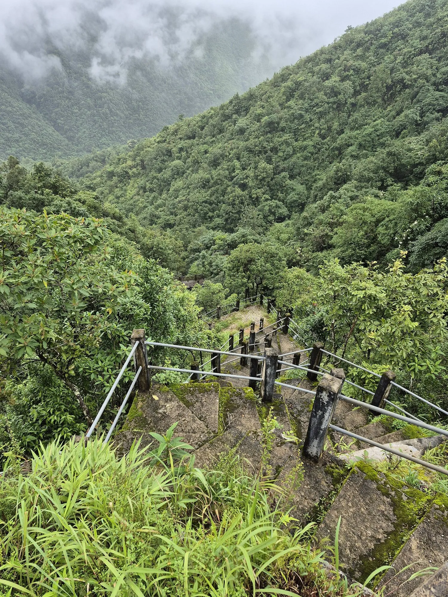 A railed stone stairway dropping into a green, misty forested valley