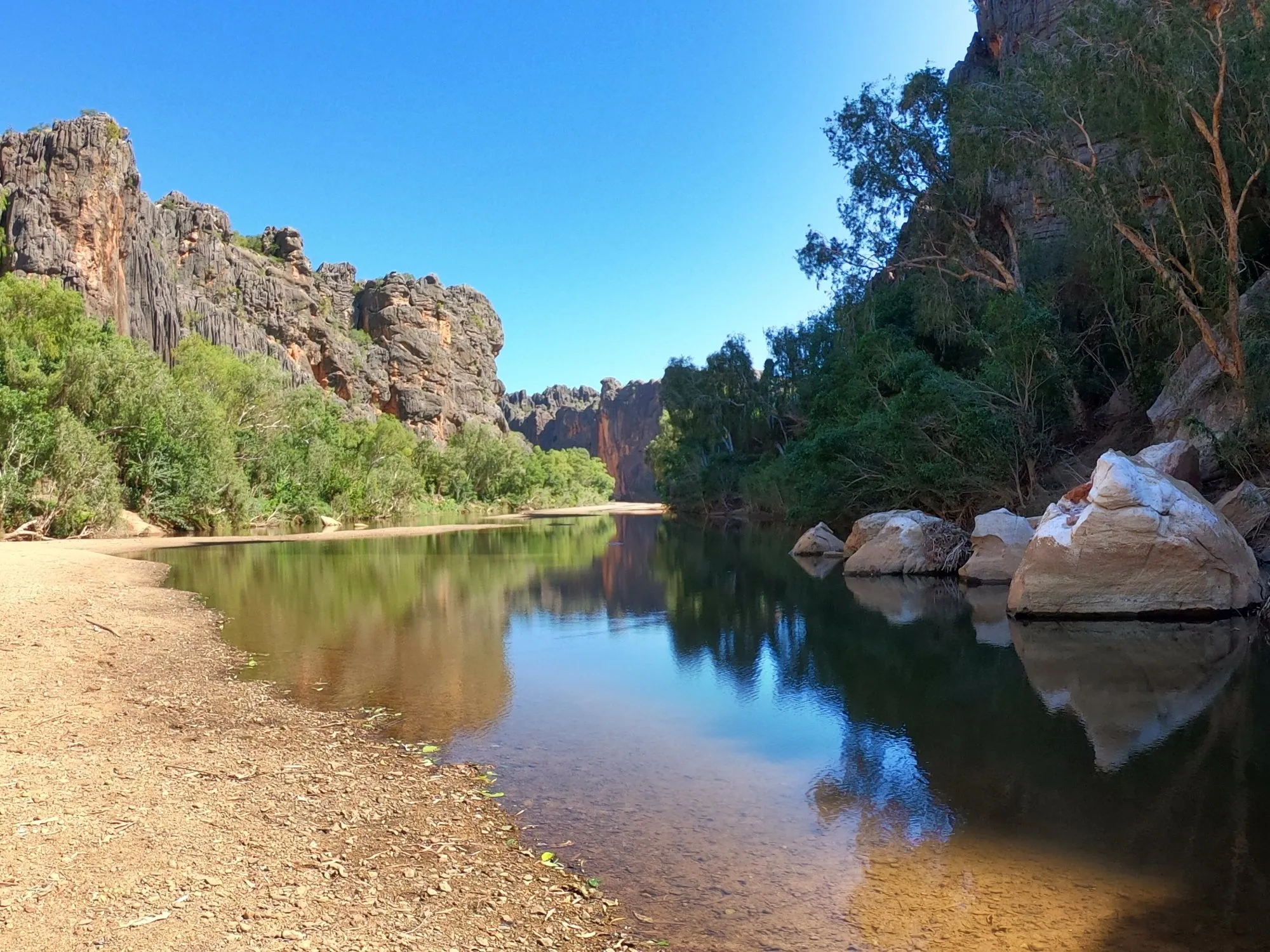 A calm pool at Windjana Gorge between tall grey limestone walls